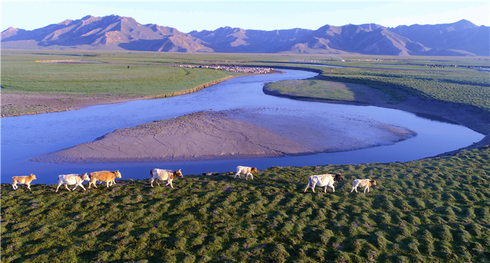 56c833a08e85bf81751a15fe8ac9f83f.jpg 5.jpg