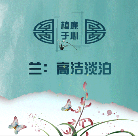 植廉于心丨兰：高洁淡泊
