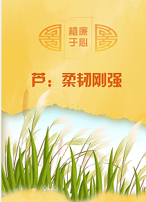 植廉于心丨芦：柔韧刚强